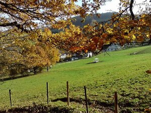 Herbstlaub mit Ortschaft 1024 x 768.jpg